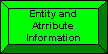 Entity and Attribute Information Button