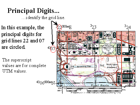 principal digits